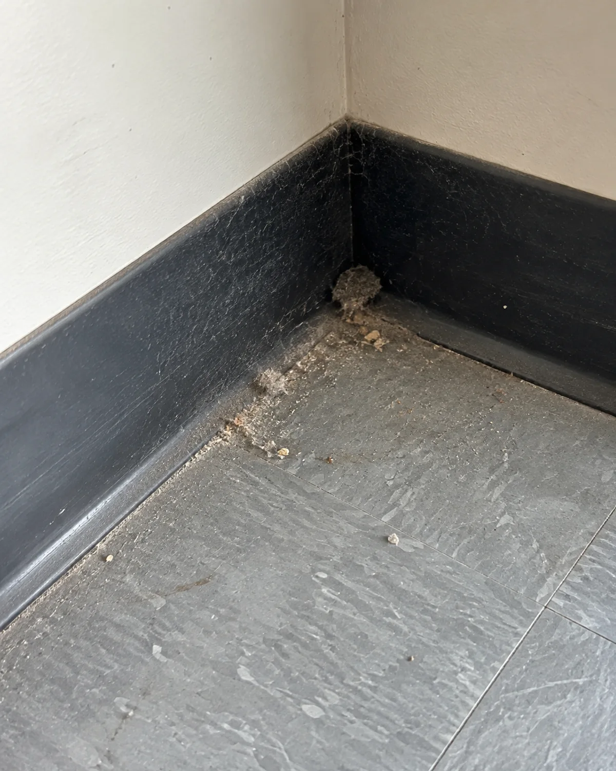 Accumulated dust and small debris along a black office baseboard and gray floor corner.