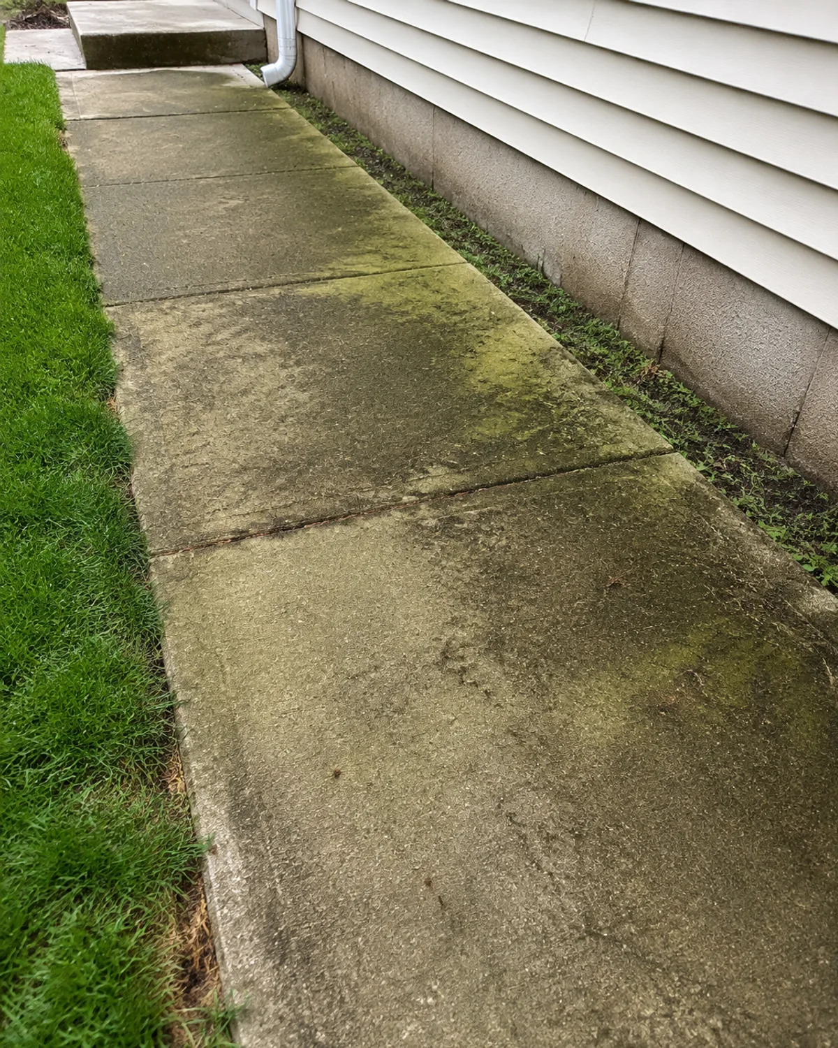 Weathered concrete walkway with green algae stains and dark grime beside grass and white house siding.
